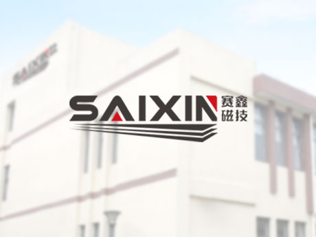 SAIXIN® Insert Magnet Protection System
